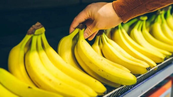 Sáenz furioso con Milei por permitir el ingreso de bananas con plagas
