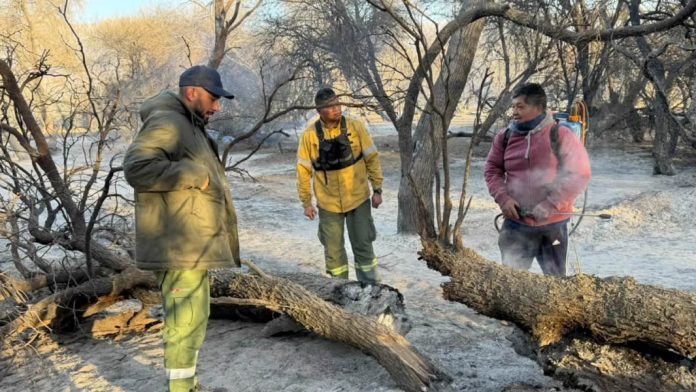 Estiman que son más de 200 las hectáreas quemadas en Cafayate