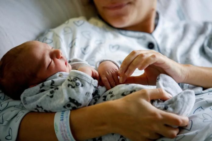 Impacta en las escuelas salteñas la caída de la natalidad de casi un 50%