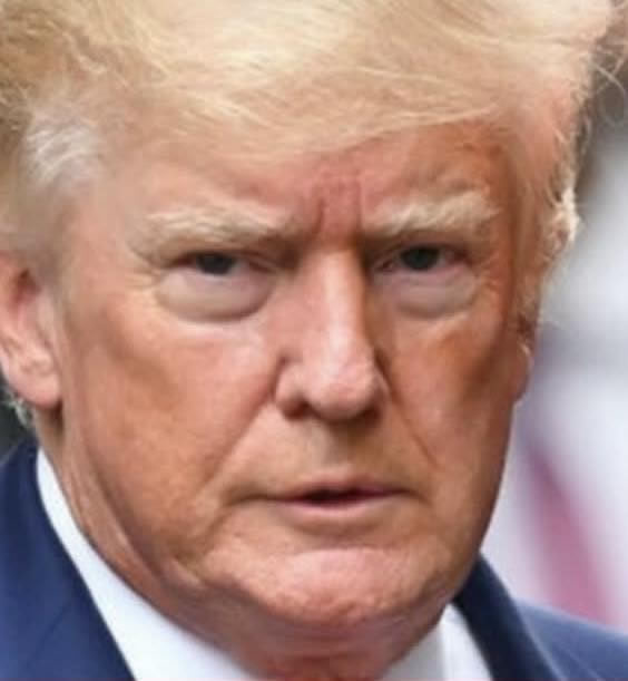 Contener a los poderosos o la ley de la selva