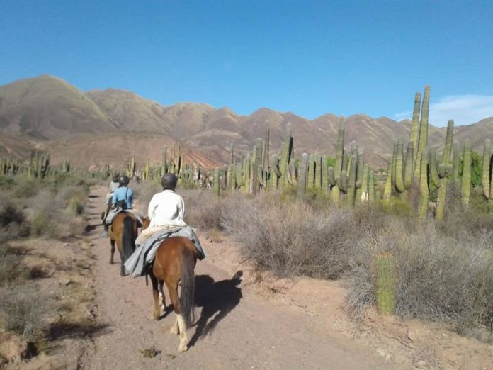 Proyecto por más turismo sustentable en diez municipios salteños