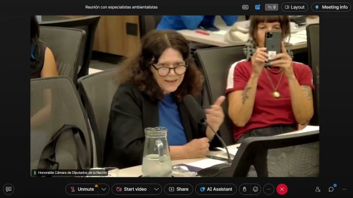 Mitos y mentiras del discurso exitoso que promueve el lobby megaminero